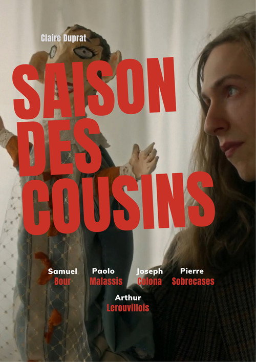 Постер «La Saison des Cousins»