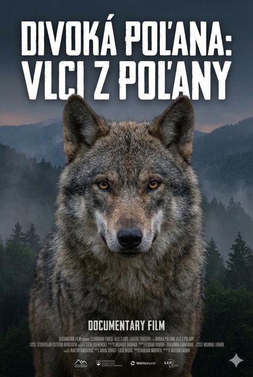 Постер «Divoká Poľana: Vlci z Poľany»