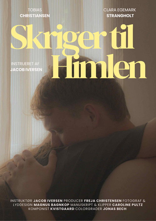 Постер «Skriger til Himlen»