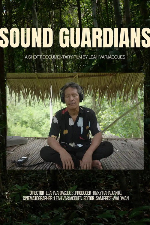 Постер «Sound Guardians»
