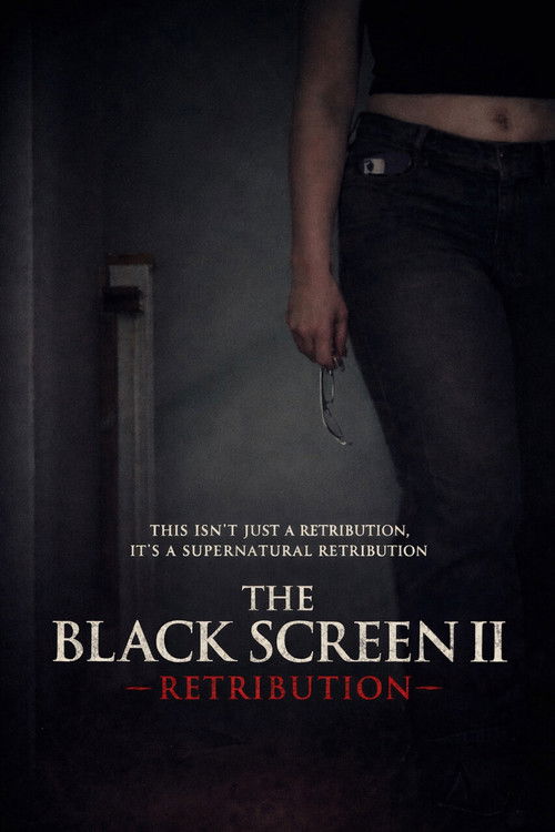 Постер «The Black Screen II - Retribution»