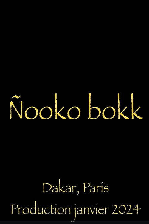 Постер «Nooko Bokk»