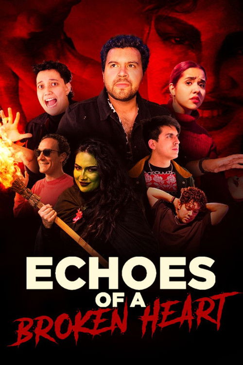 Постер «Echoes of a Broken Heart»