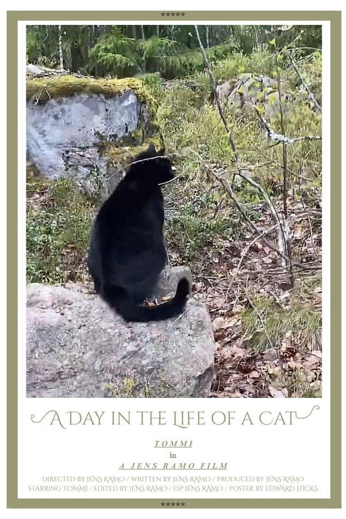 Постер «A Day in the Life of a Cat»