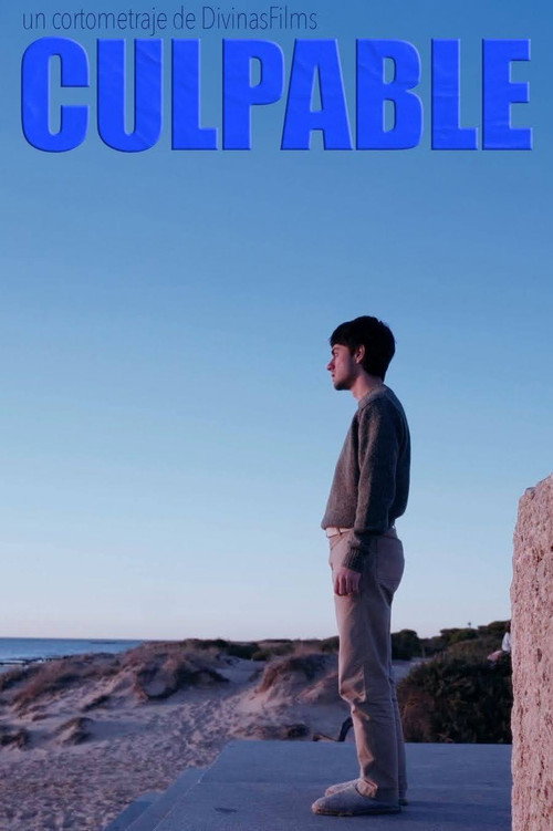 Постер «Culpable»