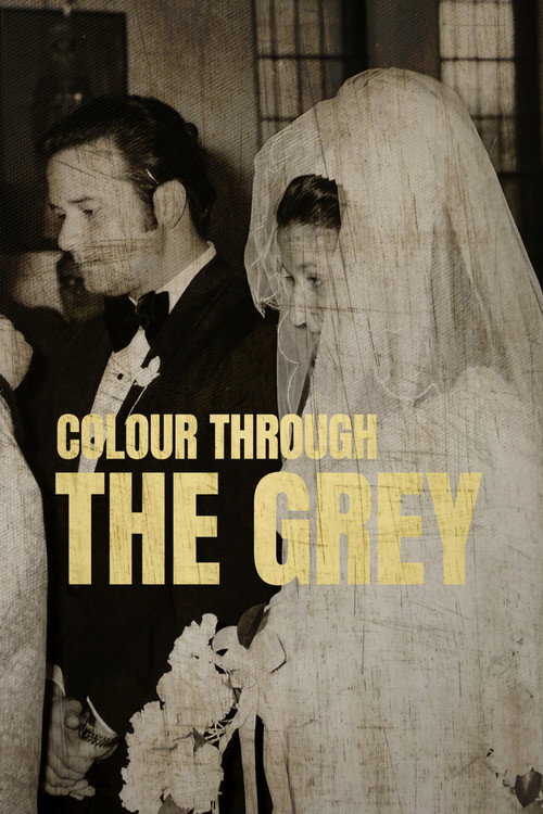Постер «Colour Through the Grey»