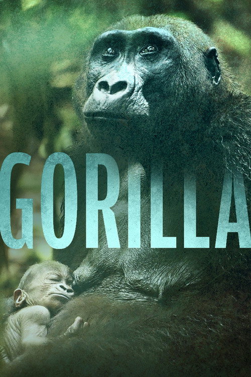 Постер «Gorilla»