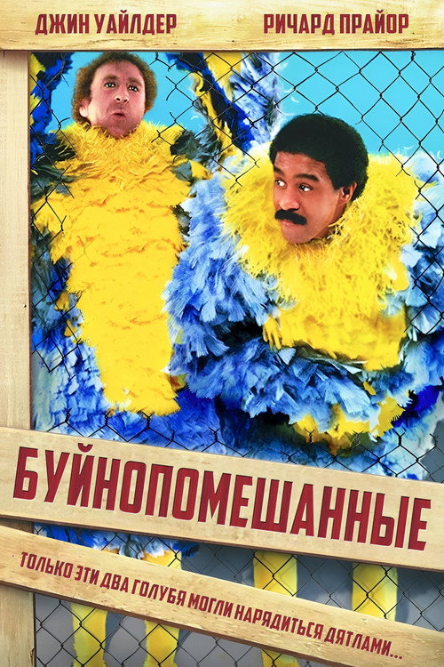 Постер «Буйнопомешанные»