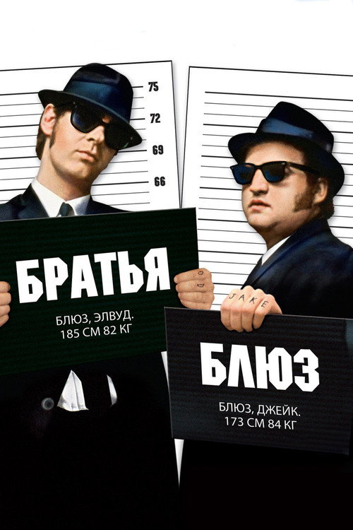 Постер «Братья Блюз»