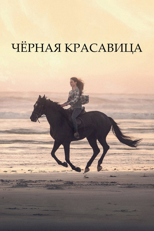 Постер «Чёрная красавица»