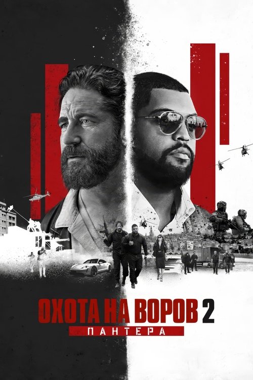 Постер «Охота на воров 2: Пантера»