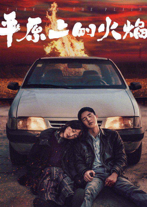 Постер «平原上的火焰»