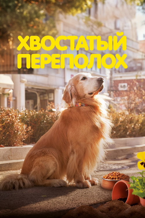 Постер «Хвостатый переполох»