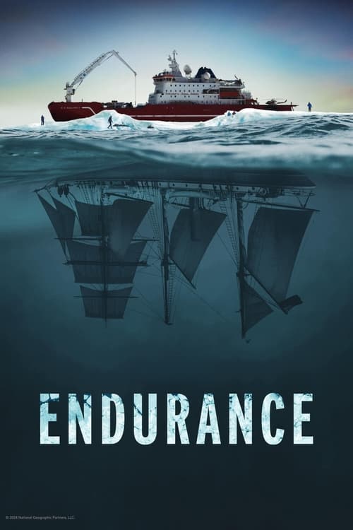 Постер «Endurance»