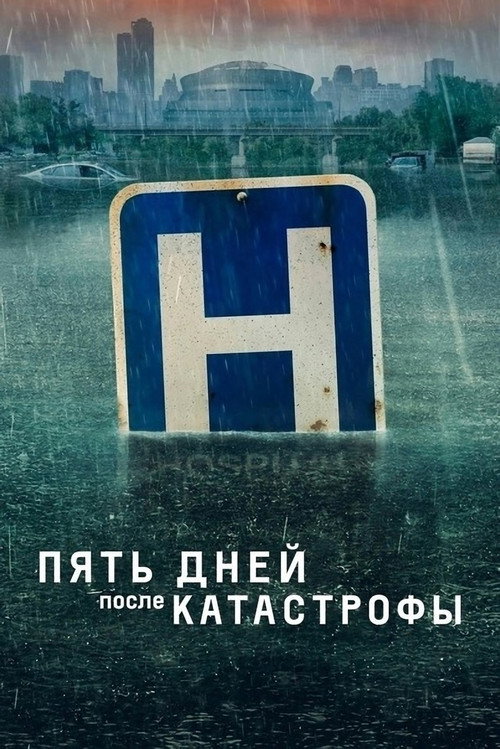 Постер: Пять дней после катастрофы