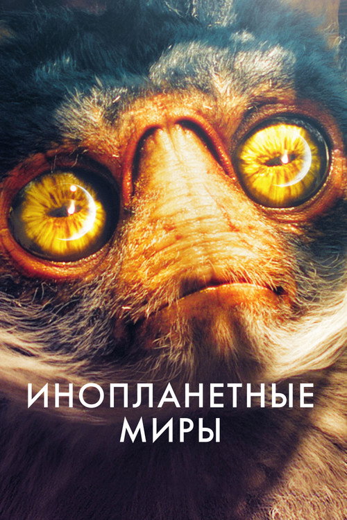 Постер «Инопланетные миры»