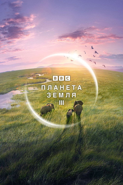 Постер «Планета Земля III»