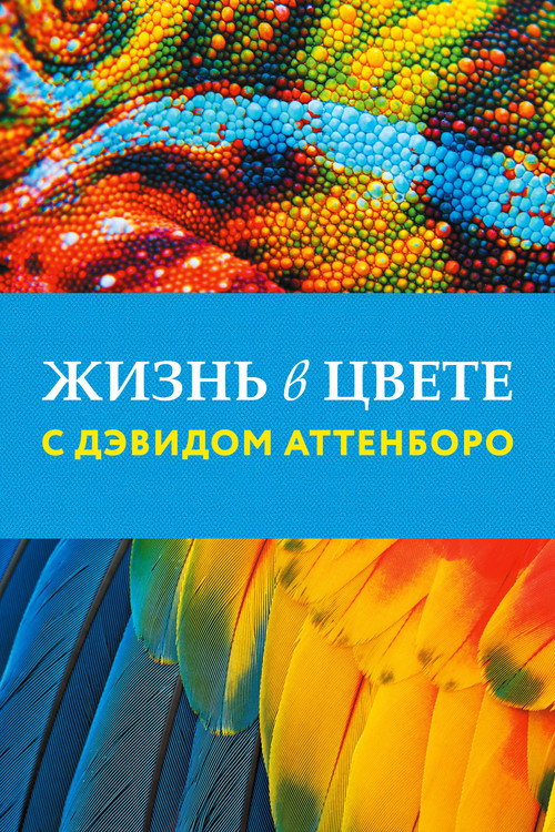 Постер «Жизнь в цвете с Дэвидом Аттенборо»