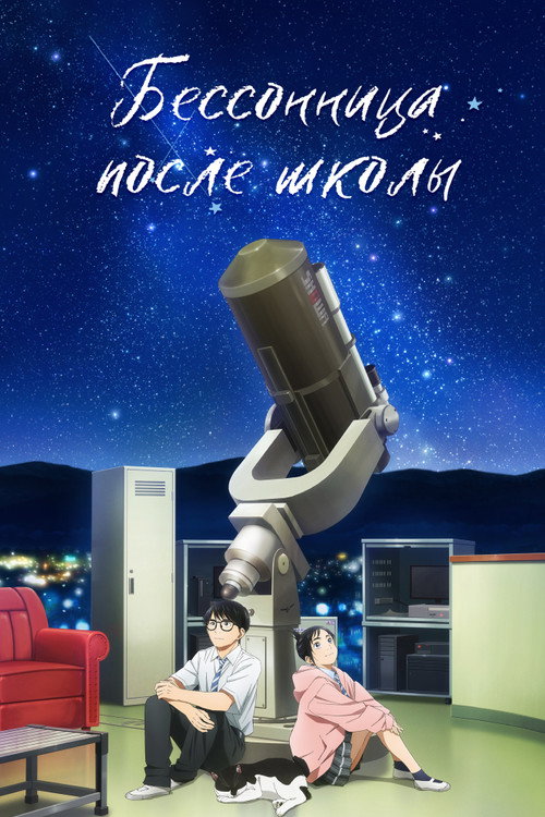 Постер «Бессонница после школы»