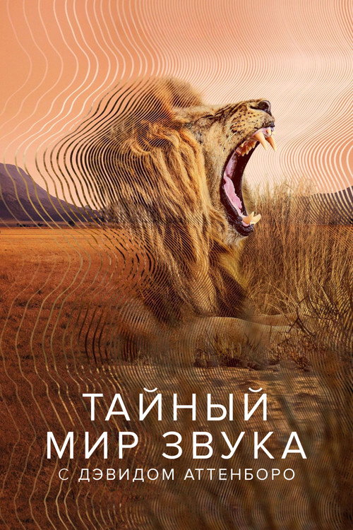 Постер «Тайный мир звука с Дэвидом Аттенборо»