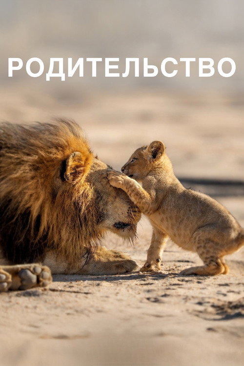 Постер «Родительство»