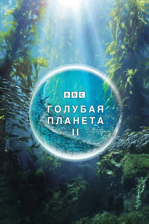 Постер «Голубая планета 2»