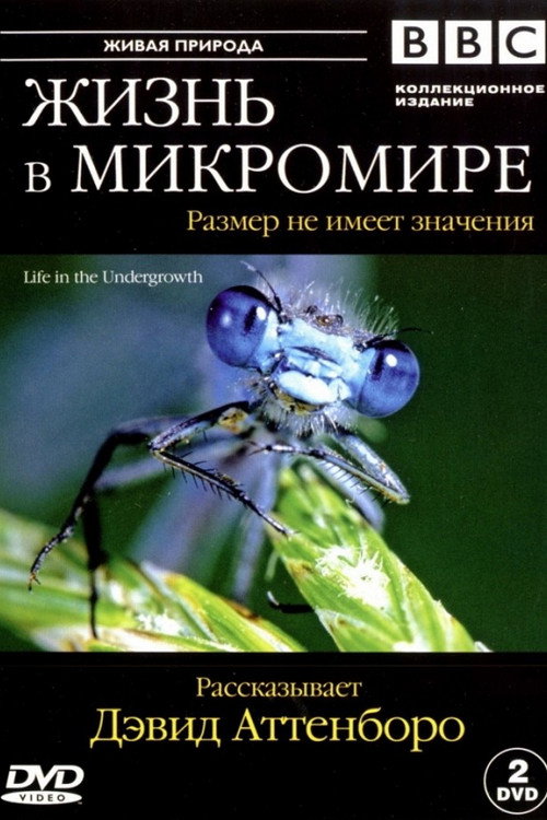 Постер «Жизнь в микромире»