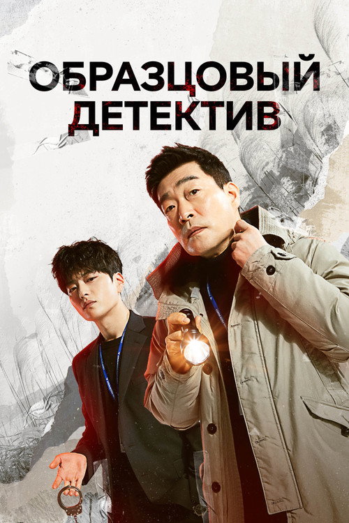 Постер: Образцовый детектив